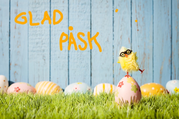 GLAD PÅSK – Barnplantorna